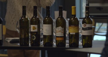 «On ne tiendra pas» : la colère des vignerons face à la crise du vin