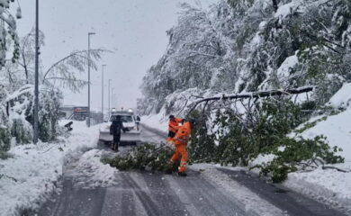 Neige d’avril: plus de 10% des forêts valaisannes impactées