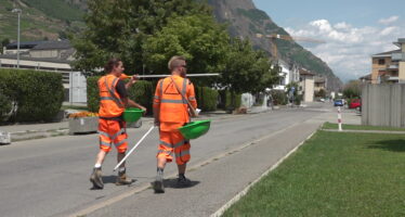 La dengue s&rsquo;invite à Fully et cause une chasse au moustique tigre