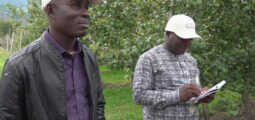 Des agriculteurs togolais en Valais