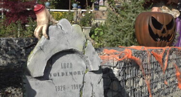 Citrouilles, sorcières et toiles d’araignée: Une famille de Fully met le paquet pour Halloween