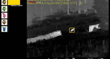 WolfCam, une IA contre le loup