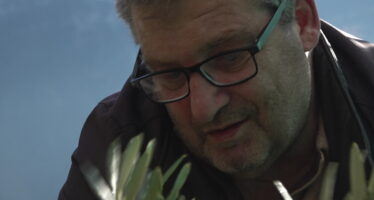 Fully: Un habitant plante 40 oliviers en hommage à son fils