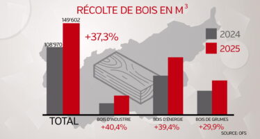 L&rsquo;actualité du mercredi 22 juillet: +37% production de bois, +4,4% résultats BCVs et hommage à Estelle Balet