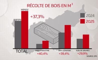 L’actualité du mercredi 22 juillet: +37% production de bois, +4,4% résultats BCVs et hommage à Estelle Balet