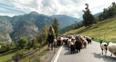 Transhumance: en chemin avec Lisa, jeune bergère