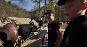 Race d&rsquo;Hérens: la passion des reines dès le plus jeune âge