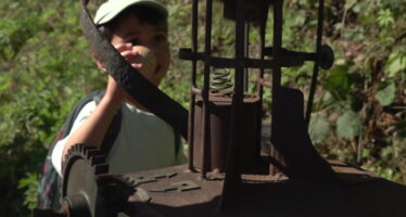 Palp Festival : le Rouli Bouli sur de nouveaux rails