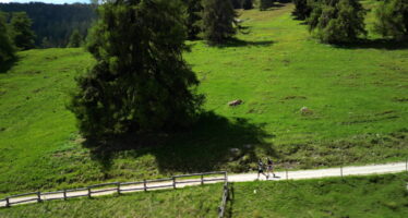 Course à pied: le Marathon du Valais et le Trail de Bouzerou ont animé le week-end