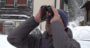 Avalanches: le rôle clé des observateurs sur le terrain