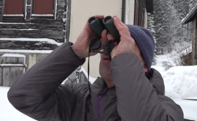 Avalanches: le rôle clé des observateurs sur le terrain