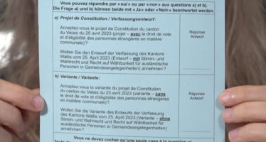 Constitution: un tuto pour comprendre le bulletin de vote