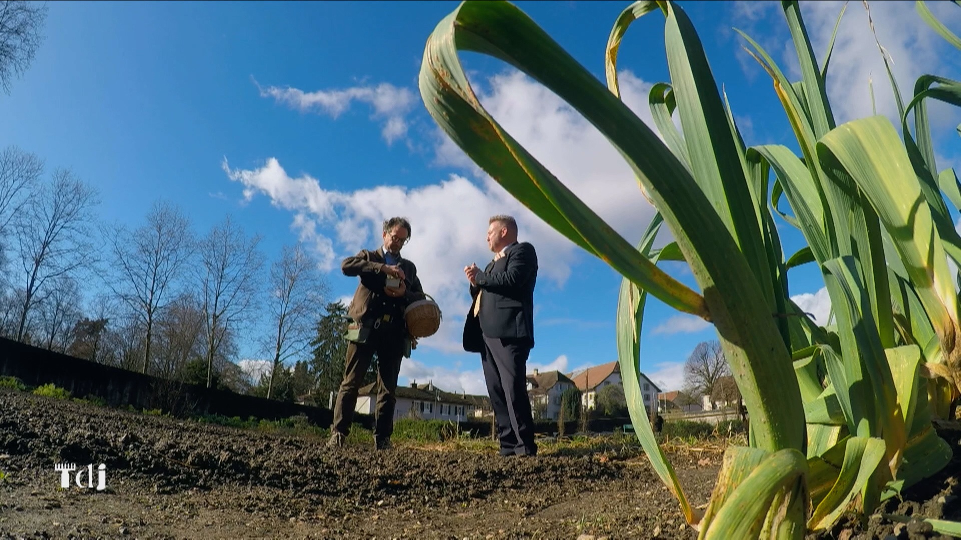 Les Indestructibles 1 Vostfr Hd