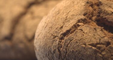 Das Fest des Alpenbrotes: Das Lo Pan Ner feiert die Länderübergreifende Brotkultur