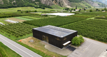 La Maison de la Petite Arvine: Le collectif