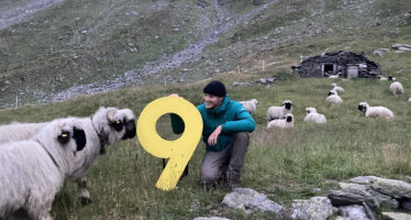 Kanal9 Sommerserie: «Ds Niini unnerwägs» im Nanztal – eine Nacht lang gemeinsam mit Freiwilligen von Oppal im Einsatz zum Schutz der Schafe vor Wölfen.