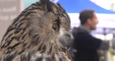 Station ornithologique suisse: 25 ans de présence en Valais