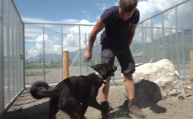 SPA Valais: nouveau refuge pour les animaux abandonnés à Uvrier