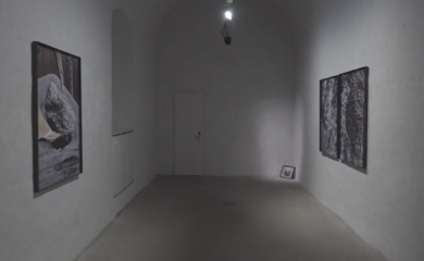 Pedro Rodrigues gewinnt den Nachwuchspreis von ArtPro und stellt jetzt im Stockalperschloss aus