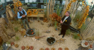 Tenue de Jardin – Les plantes couvre-sol