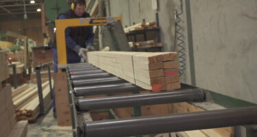 Scieries de montagne : investir pour ne pas mourir