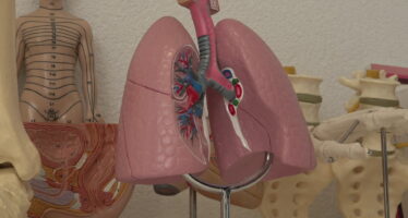 Trois médecins s’installent à Noble-Contrée