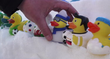 Les canards de Planachaux, stars des Portes du soleil