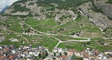 Accord avec le Mercosur: une concurrence sud-américaine pour les vins valaisans