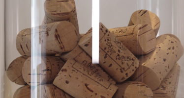 Dessine-moi la vigne de demain, nouvelle expo du Musée du Vin