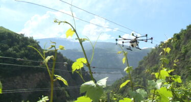 Pesticides dans les écoles valaisannes: pas d’alarmisme du canton