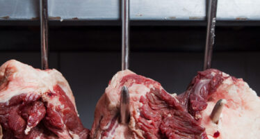 Zwischen Baugerüsten und Plänen: Das Fleischzentrum Goms nimmt Form an – im September soll der Betrieb starten