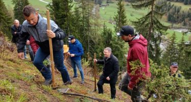 Tschüss Nadelbäume: Klimawandel verändert Walliser Wald