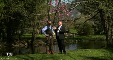 Tenue de Jardin – biotope et jardin d&rsquo;eau