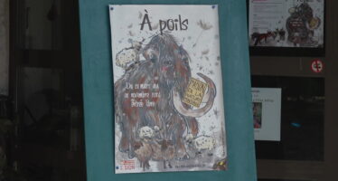 Une exposition à rebrousse-poil à la Maison de la Nature à Sion