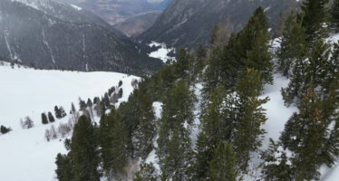 Réserve forestière du Val d’Arpette: un poumon en Entremont pour la biodiversité