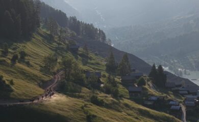 Blattner Alpaufzug: Die Tiere sind versorgt