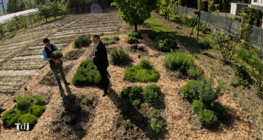 Tenue de Jardin – Herbes aromatiques