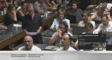 Minderheitenschutz Oberwallis: Dicke Luft im Verfassungsrat