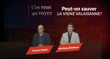 Peut-on encore sauver la viticulture valaisanne ?