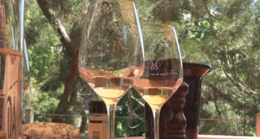 Offene Weinkeller Wallis: Drei Tage an denen viel Wein degustiert und Walliser Platten verspiesen werden