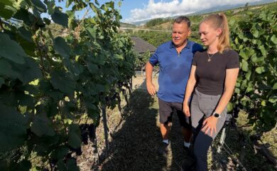 Winzer Diego Mathier aus Salgesch will Ende August mit der Weinernte beginnen. Wegen der grossen Hitze gibt es die früheste Weinernte überhaupt.