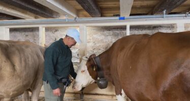 Yakhirte aus Kirgistan und Schweizer Hirt:innen tauschen sich über ihre Arbeit aus.