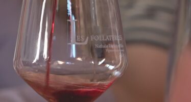 Des caves ouvertes bien fréquentées
