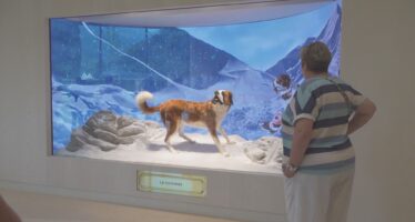 Martigny: un nouveau temple pour les chiens saint-bernard