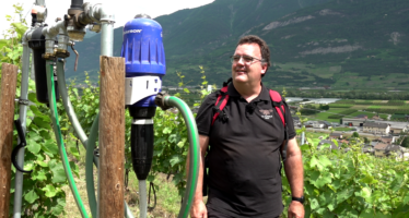 L’or bleu: Quand la vigne a soif