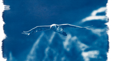Un documentaire plonge dans les «bleus» de Fanny Zambaz