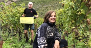 Vigneronnes: un métier de passion