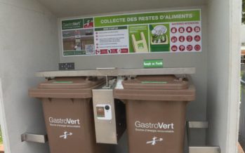 Les poubelles des habitants de Monthey ne sentent plus mauvais: les restes de cuisine sont pris en charge dans 30 points de collecte