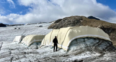 De la laine de mouton pour protéger les glaciers
