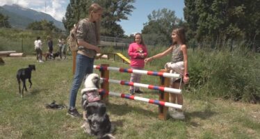Neues Hundeparadies: In Sitten eröffnete am Wochenende ein 1&rsquo;200 m2 grosser Park speziell für Vierbeiner